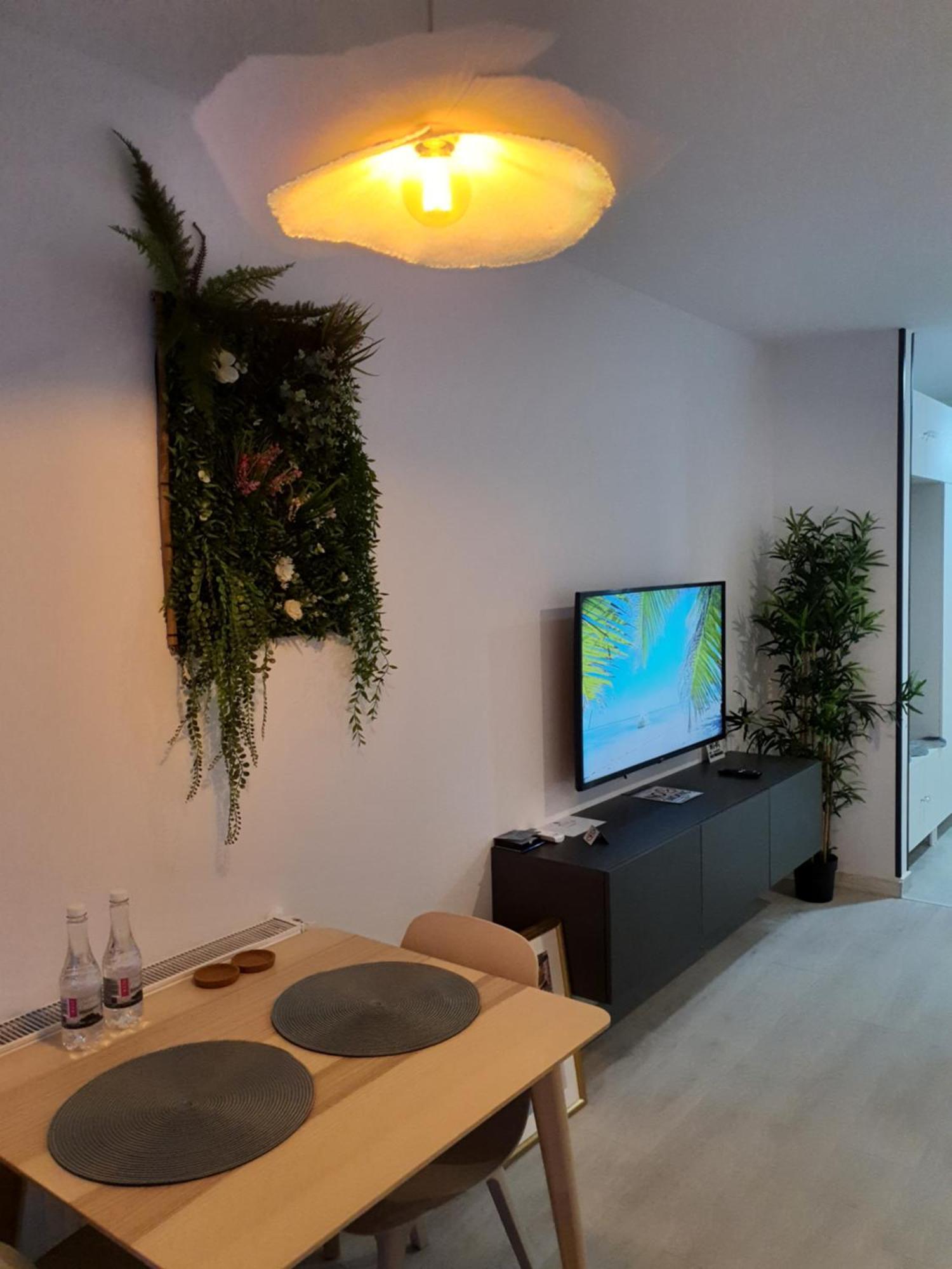 בוקרשט Premium Hils Brauner Studio מראה חיצוני תמונה